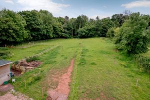Field- click for photo gallery